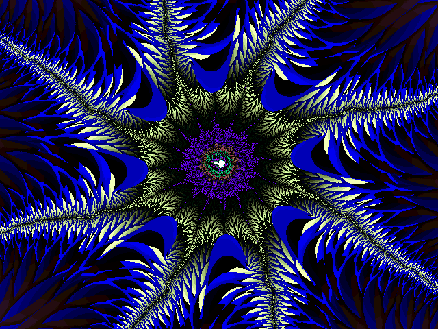 starfish