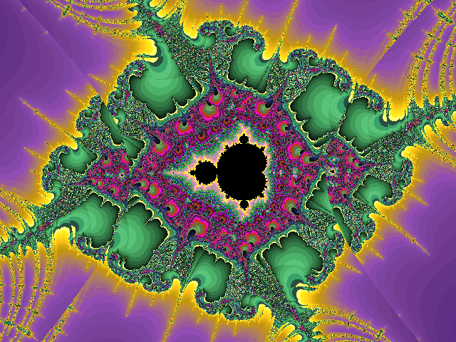 ants in the fractal